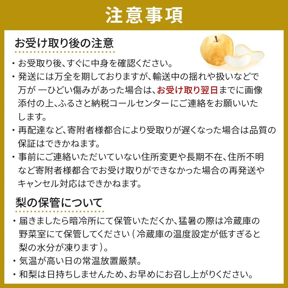 【2026年発送／先行予約】2ヶ月連続お届け 旬の梨 食べ比べ 約5kg【松崎果樹園】 ｜ 梨 定期便
