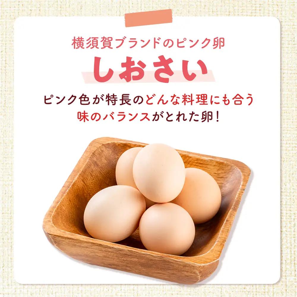 安田養鶏場の卵 しおさい 30個入り[AKHN001]卵