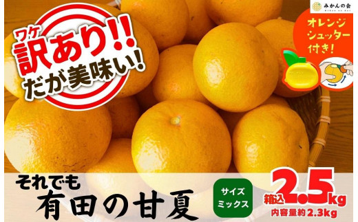 
            訳あり それでも 甘夏 箱込 2.5kg (内容量約 2.3kg)  サイズミックス 産地直送 家庭用 皮むき器付き［みかんの会］
          