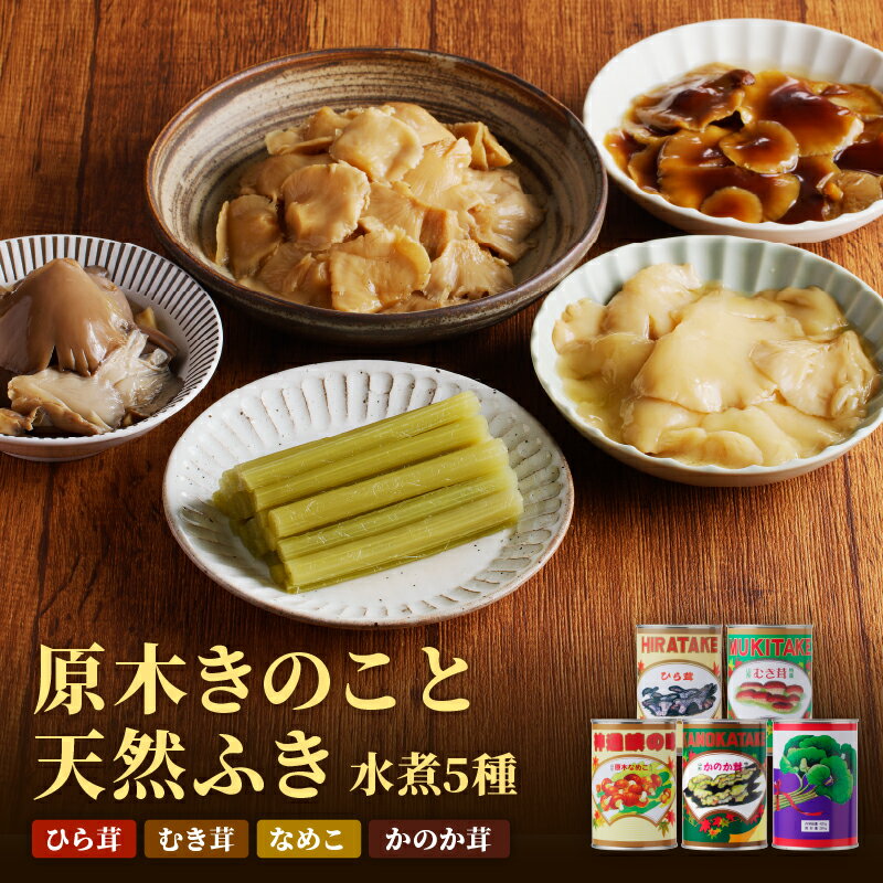 【ふるさと納税】 大江町柳川産 原木きのこ天然ふき水煮セット5種1080g(固形量）