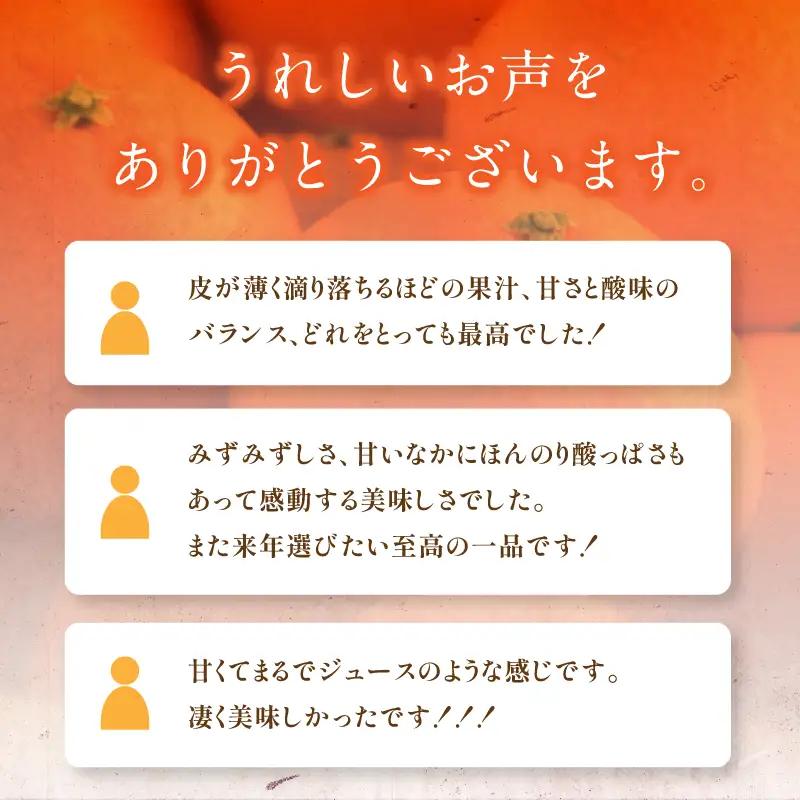 【先行予約】マルハ果樹園 プレミアムまどんな 12~15玉 化粧箱入