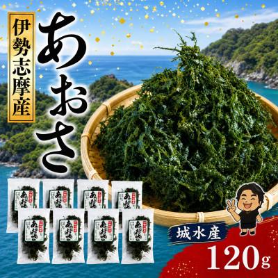 ふるさと納税 南伊勢町 城水産 伊勢志摩産 あおさ海苔 約15g×8 三重県南伊勢町から全国へ 地域特産の香り高い青さのり