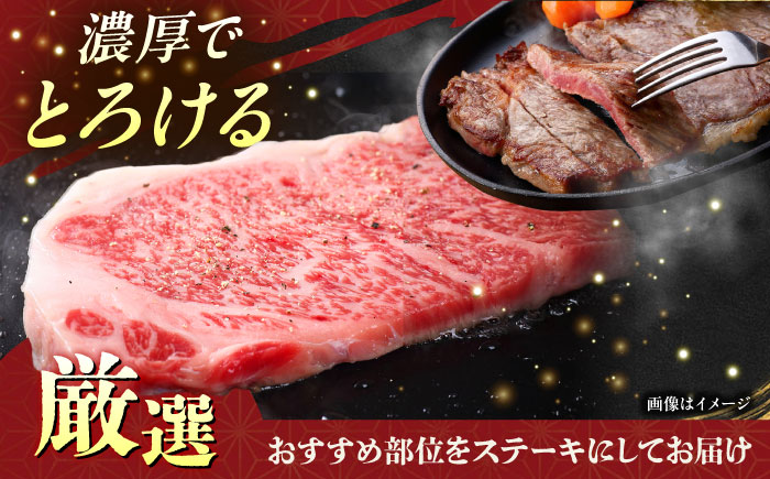 【厳選！おすすめ部位】沖縄和牛 佐渡山牛 ステーキ肉 500g ステーキ 牛肉 和牛 焼肉 赤身 沖縄市 / 肉のサブロー [BCBC001]