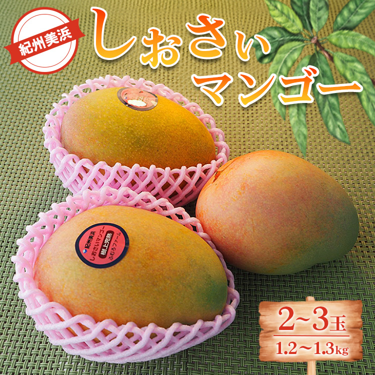 紀州美浜しおさいマンゴー2～3玉（1.2～1.3kg）
※離島への配送不可
※2025年7月下旬～9月上旬頃に順次発送予定