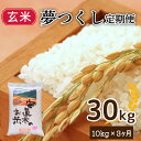 【ふるさと納税】夢つくし 玄米 30kg 精米 米 お米 コメ ごはん ご飯 おこめ こめ 長期保存 備蓄 長持ち 防災 夕食 晩ごはん 地震 緊急 避難 福岡 川崎