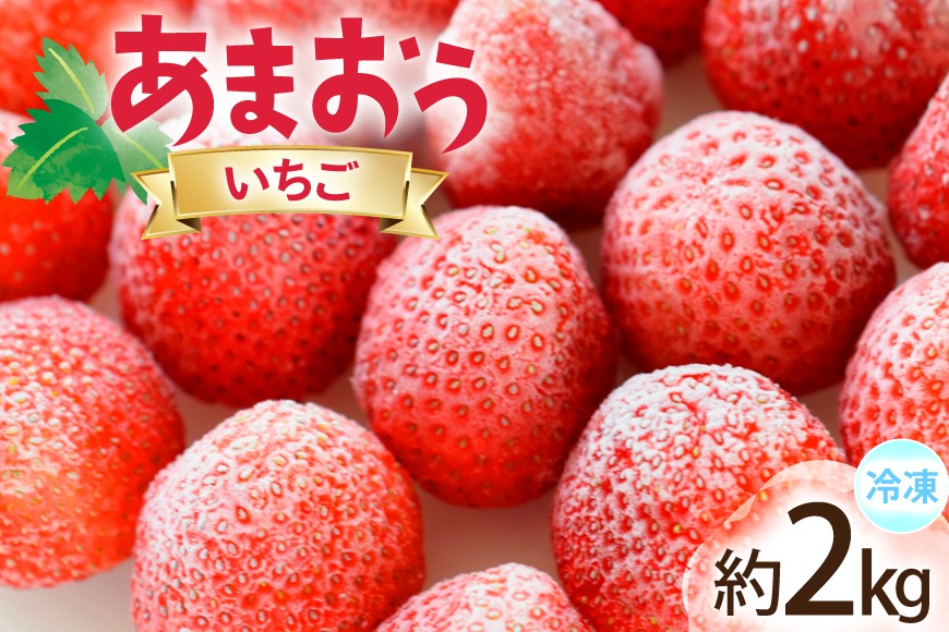 いちご 冷凍 あまおう 約2kg [地域商社ふるさぽ 福岡県 宇美町 um40bfw220008] フルーツ 果物 イチゴ 苺 くだもの ジャム シャーベット スムージー