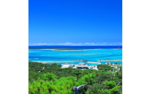 伊是名島を満喫!ファンダイビング(1日3ダイブ×2日)・フェリー往復・宿泊券(2食付き3泊4日)【1706985】