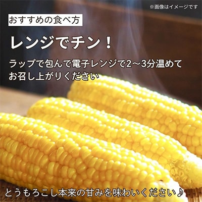 京都府久御山町 とうもろこし 10本【配送不可地域：離島・北海道・沖縄県・東北】