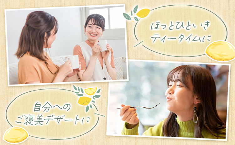 レモンケーキ 15個入り【養生市場】合計約750g 有限会社七城町特産品センター《90日以内に出荷予定(土日祝除く)》熊本県 菊池市 レモン ケーキ 檸檬ケーキ レモンチョコ おかし お菓子 デザート