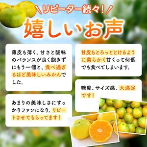 【先行予約】和歌山県産 ゆら早生みかん 約4.5kg ※2025年10月中旬頃より順次発送予定 / 和歌山県 柑橘 みかん 甘い 蜜柑 フルーツ 果物 くだもの 食品 人気 晩柑 おすすめ 送料無料