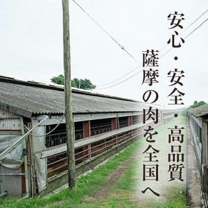 No.1150 鹿児島県産！黒豚ロース(計600g・150g×4P)国産 九州産 黒豚 豚肉 ロース トンテキ 冷凍 期間限定 小分け【コワダヤ】【687】【1151】