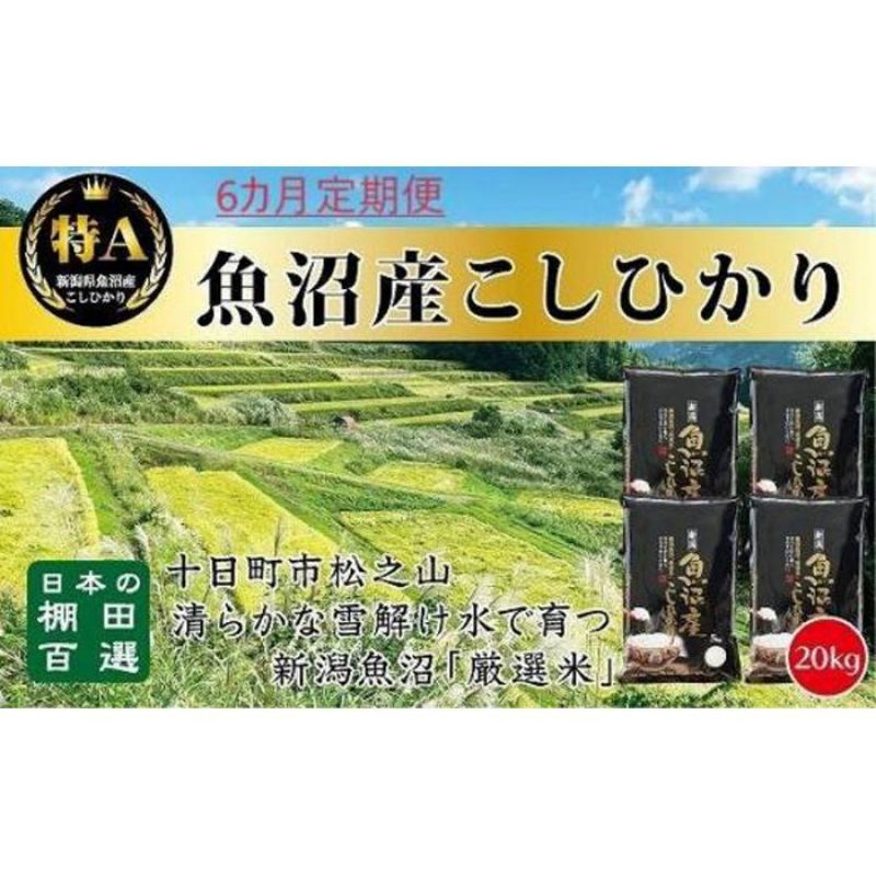 【ふるさと納税】【令和7年産新米予約】【食味鑑定士厳選】6カ月 定期便 日本棚田百選のお米 天空の里 魚沼産 こしひかり 20kg(5kg×4)×6回 米 お米 コメ　お届け：令和7年10月下旬（10月21日～）