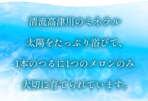 B-1009 ［夏作］糖度厳選プレミアムアールスメロン2玉