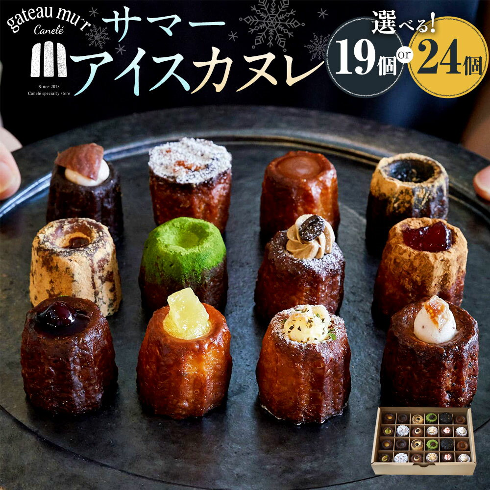 【ふるさと納税】【選べる容量】ガトーミュール サマー アイスカヌレ 19個入 24個入 【2026年5月下旬～8月上旬迄発送予定】 スイーツ お菓子 おやつ ミニ カヌレ 洋菓子 ギフト お取り寄せ 詰合 詰め合わせ プレゼント 冷凍 岡山県 奈義町 送料無料