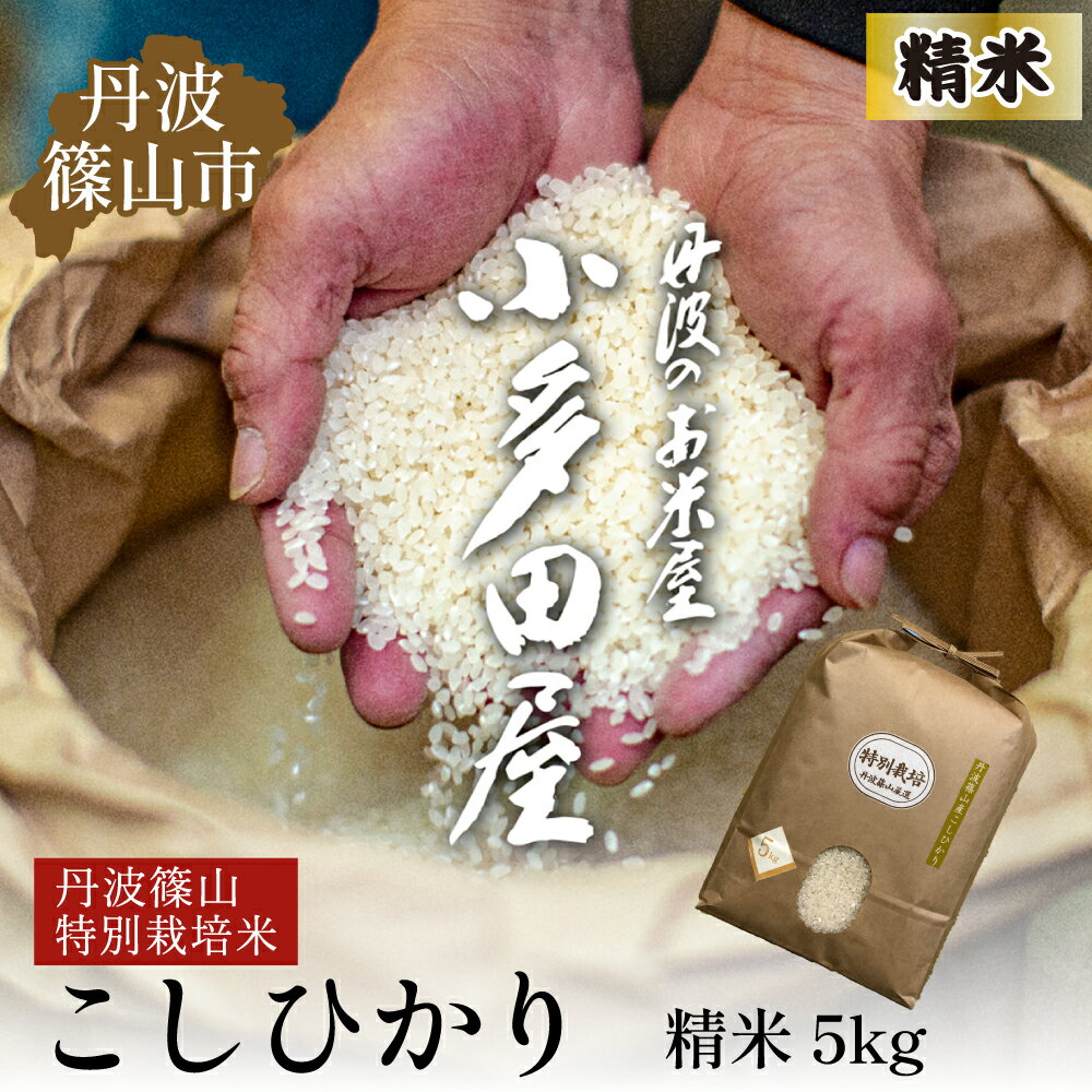 【ふるさと納税】【令和7年産 2025年9月以降順次発送】お米のおいしさ伝えたい！特別栽培米コシヒカリ5kg×1 | 白米 100％単一原料米 産地直送米 贈答 おいしい お米 精米 コシヒカリ ブランド おこめ 健康 ギフト 内祝い 贈り物 送料無料 おすすめ 人気 口コミ