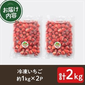 No.298 ＜先行予約受付中！＞冷凍いちご(計約2kg・約1kg×2) 国産 九州産 苺 いちご イチゴ 冷凍 果物 フルーツ 減農薬 アイス【片平観光農園】