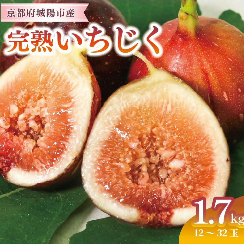 ふるさと納税 城陽市 完熟いちじく 約1.7kg (12〜32個目安) 5L〜Mサイズ