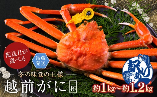 【2026年1月発送・月指定可】越前がに（オス）「ずわいがに」特大（1.0-1.2kg） 訳あり 1杯