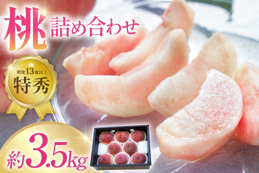 
                  【2026年発送】 先行予約 韮崎市産 旬 桃 詰め合わせ 約3.5kg もも モモ 果物 くだもの フルーツ 3.5キロ 期間限定 季節限定 冷蔵 産地直送 JA 梨北 共選品 山梨 山梨県産 韮崎産 [梨北農業協同組合 山梨県 韮崎市 20743029]
                