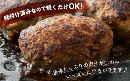 若狭牛入り 手ごね ハンバーグ 5個セット 計650g（便利な個包装 約130g × 5個）味付き【国産 福井県 小分け 冷凍】 [e02-a019]