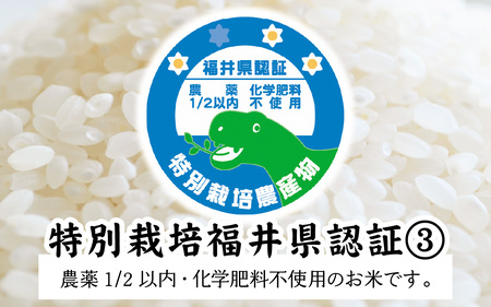 【先行予約】減農薬・化学肥料不使用 ゆうだい21 5kg×1袋（計5kg）【2024年10月中旬より順次発送】