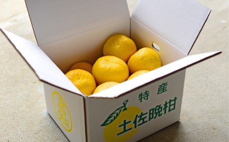 結（ゆい）果樹園の河内晩柑9kg（家庭用）