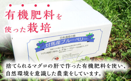 【最速発送】対馬産 ブルーベリー 600g×2袋 計1.2㎏（ 冷凍 ） 【さほの里ファーム 】《 対馬市 》 小粒　離島 対馬 無農薬 有機肥料 旬 果物 フルーツ[WBG011] スピード発送 最