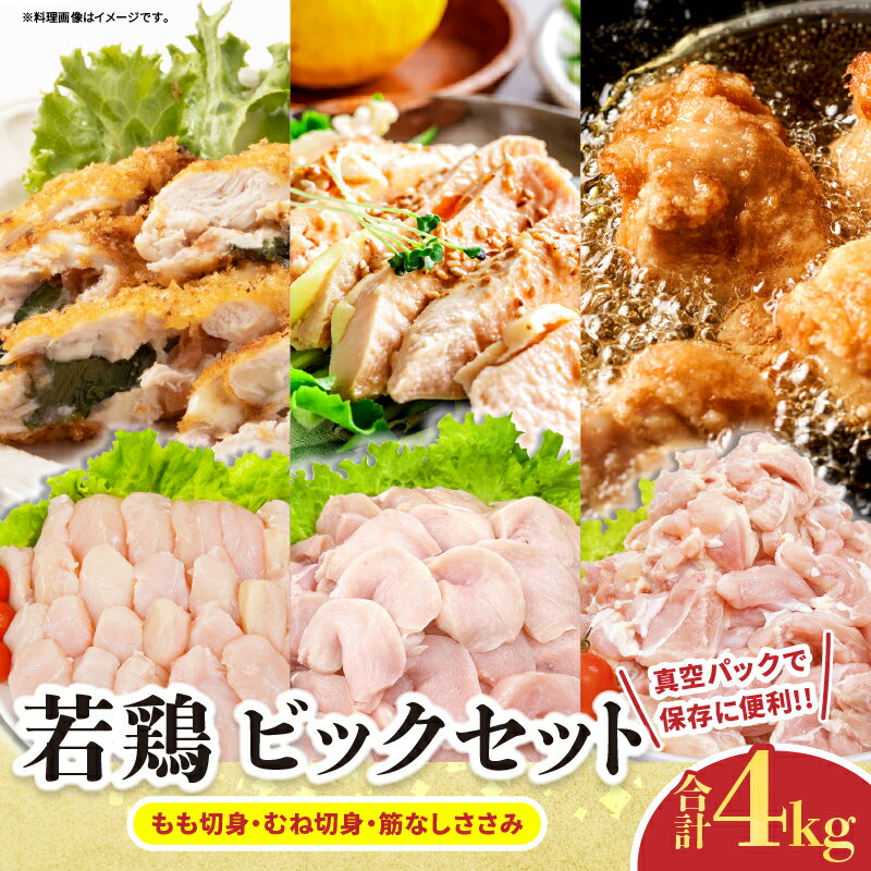 【ふるさと納税】若鶏 ビッグ セット 合計4kg 鶏肉 もも肉 むね肉 筋なしささみ 小分け 美味しい カット済み チキン 国産 切身 便利 食べ比べ おかず お弁当 おつまみ 食品 真空パック 焼肉 からあげ サラダ 万能食材 おすすめ ご褒美 記念日 お祝い 日南市 宮崎県 送料無料
