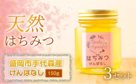 けんぽなし 蜂蜜 150g×3セット 国産 はちみつ 天然 無添加 無加工 盛岡市手代森産 季節の蜂蜜 希少 濃厚 上品な香り スイーツ ご褒美 美容 美肌 ギフト プレゼント 贈答用 岩手県 盛岡市 東北 岩手 盛岡 大西養蜂場