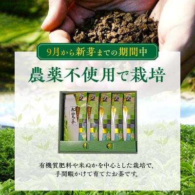 ふるさと納税 南九州市 知覧特上深蒸し茶5本セット |  | 01