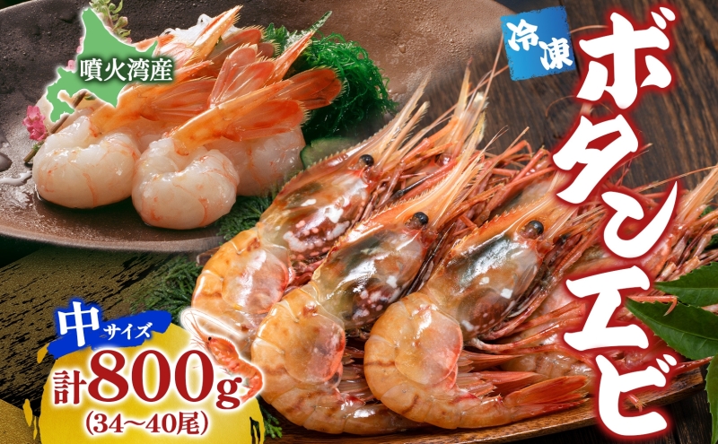 北海道 噴火湾産 冷凍ボタンエビ 中サイズ 計800g 34～40尾 ボタンエビ エビ えび 海老 北海道産 旬 ぼたんえび 刺身 牡丹海老 海鮮 魚介 甲殻類 味噌汁 鍋 海鮮丼 冷凍 洞爺湖町