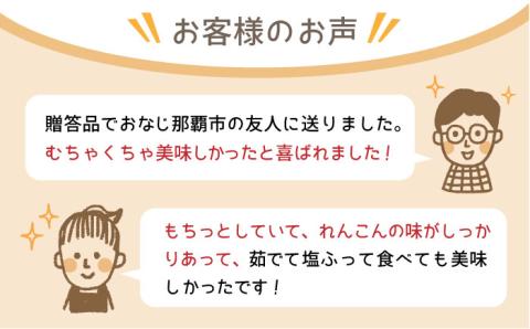 【先行予約】【農家直送！】こだわり白石れんこん 3kg【れんこんの家やました】 [IAW006]