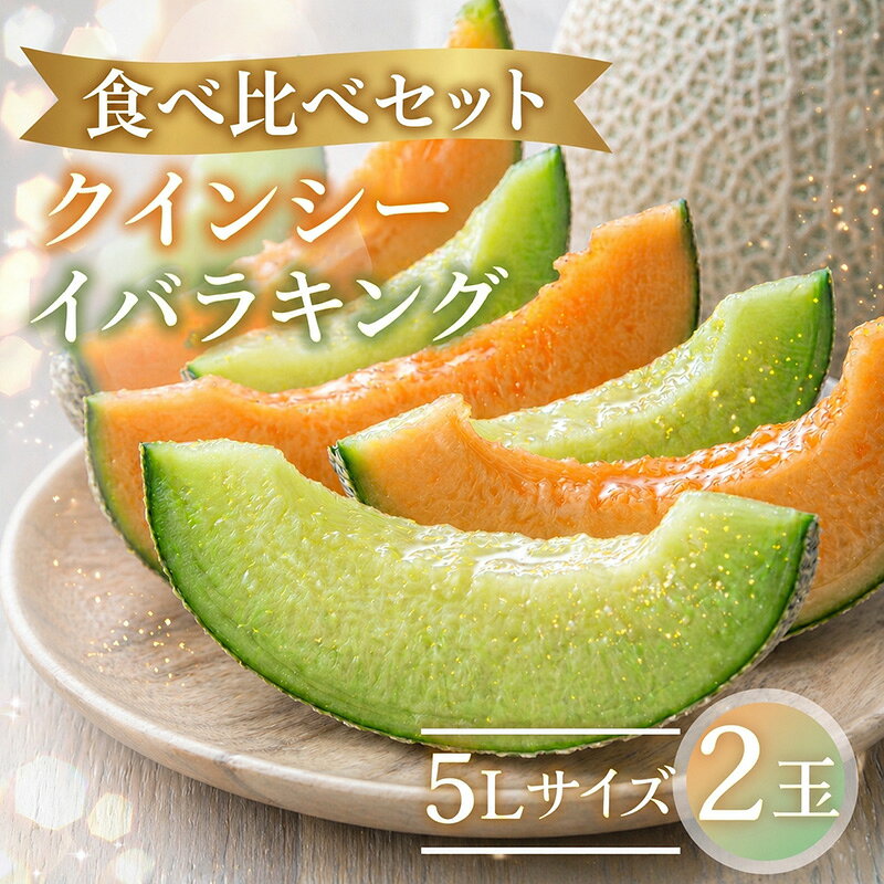 【ふるさと納税】 メロン 食べ比べセット ＼ 2027年先行予約 ／ イバラキング クインシー 5Lサイズ 赤肉 青肉 青肉メロン 赤肉メロン 食べ比べ 食べくらべ メロン めろん 春メロン 茨城 果物 くだもの フルーツ 果実 国産 大森農園 先行予約 フルーツ先行予約 メロン先行予約