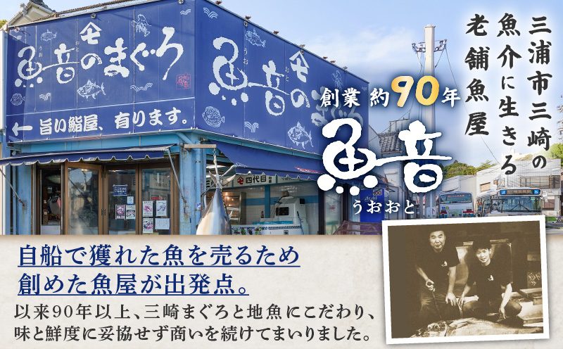老舗魚屋直営店！まぐろ食堂七兵衛丸ペアお食事券＋まぐろのお土産セット　M006-003-02