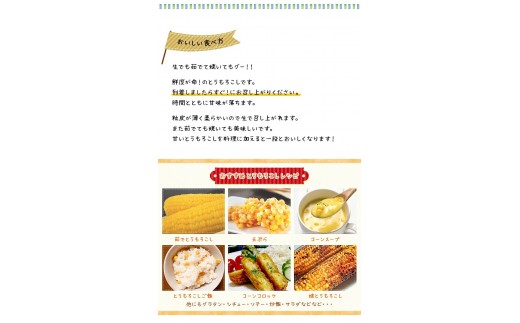 【令和8年産先行予約】朝採りとうもろこし 恵味ゴールド L-LLサイズ 10本
