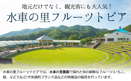 梨【2026年発送先行予約】 産地直送 愛宕梨 約1.4kg
