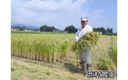 【西村農園のお米】 3品種食べ比べセット3kg（コシヒカリ1kg、ひとめぼれ1kg、天のつぶ1kg）