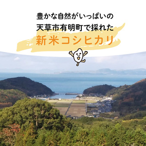 S108-004A_〈令和6年産〉熊本県天草産　天草の大地の恵み　新米コシヒカリ12㎏【先行予約】