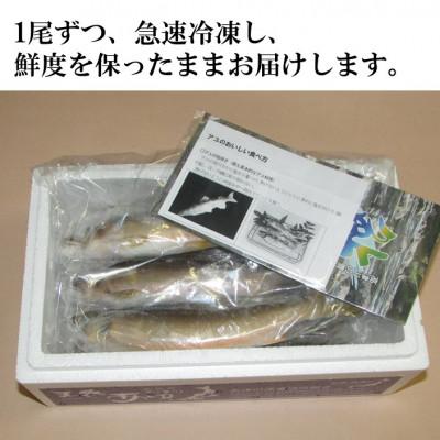 ふるさと納税 吉賀町 高津川天然あゆ冷凍　1200g(吉賀町) |  | 01