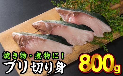 【ふるさと納税】年内発送 12月末までにお届け 加熱用ブリ切り身　大満足800gセット（100g × 8切れ）小分け ブランド ぶり 鰤 ブリ ぶり 真空 人気 ランキング 高級 大満足 美味しい 贈答 魚介類 海鮮 冷凍 厚切り 薄切り ふるさと納税　OB-11