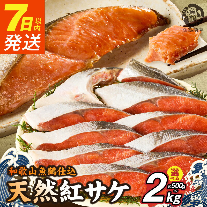 【ふるさと納税】7日以内発送 リピーター続出！ 高評価 紅鮭 切身 選べる 内容量 約 500g ～ 2kg 発送時期 梅酒 真昆布 使用 だし 天然 鮭 柔らかい身 コク 甘味 魚 海の幸 海鮮 魚介 食品 食べ物 焼き魚 おかず お弁当 水産加工品 冷凍 お取り寄せ グルメ 和歌山県 湯浅町