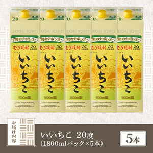 ＜数量限定＞ いいちこ 20度 パック(計9L・1.8L×5本)酒 お酒 むぎ焼酎 1800ml 麦焼酎 常温 いいちこ 三和酒類 紙パック【107303301】【時枝酒店】