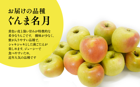 10月下旬～発送　 訳あり ぐんま名月約3kg(家庭用)【なるみ農園・青森りんご・平川市産・数量限定】