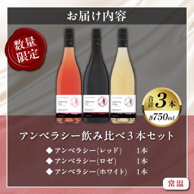 ふるさと納税 都農町 【数量限定】アンベラシー飲み比べ3本セット(レッド・ロゼ・ホワイト) 酒 国産_T014-009 |  | 02