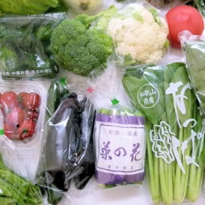 ふるさと納税 印南町 旬の新鮮野菜セット 8種以上【野菜詰め合わせ】 |  | 02