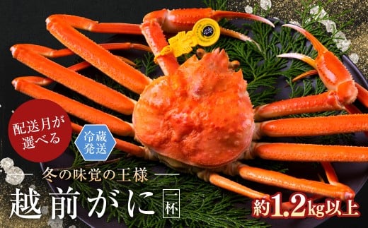 【2026年3月発送・指定日着可】越前がに（オス）「ずわいがに」特特大サイズ（1.2kg以上）  1杯