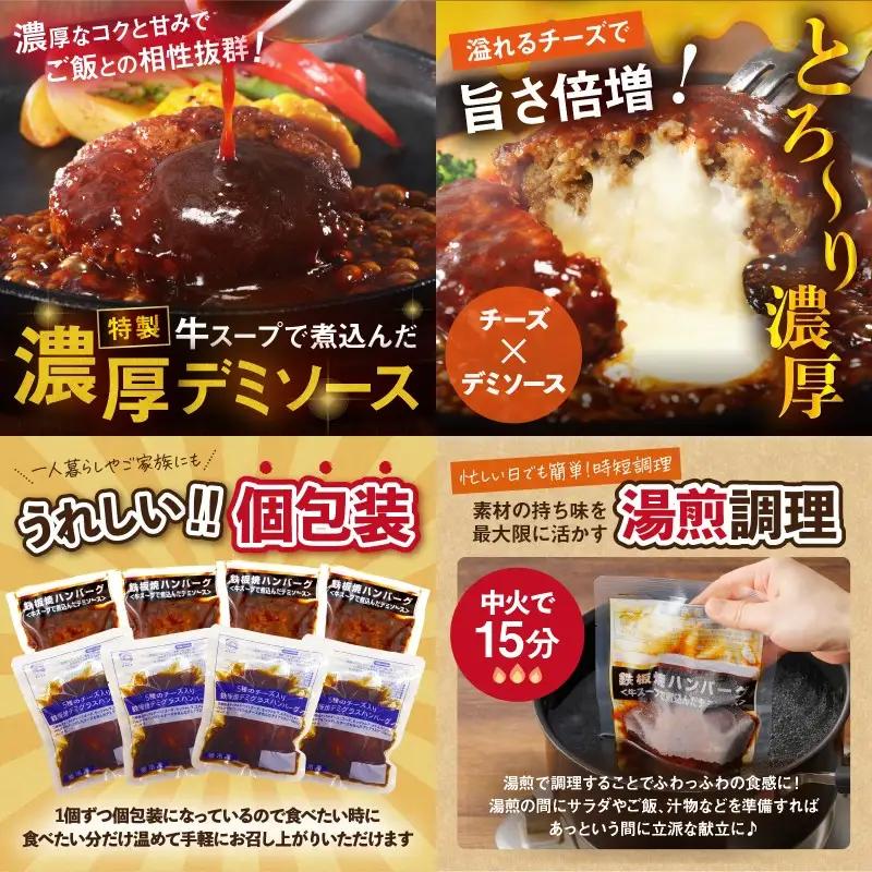 かねふく辛子明太子&デミソースのハンバーグ2種セット【毎月定期便(計12回発送)】【K03-001】