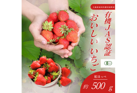 No.407 おいしいいちご　有機JAS認証いちご　500g　24粒