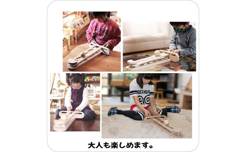 木のおもちゃ/集中力アップゲーム psc  日本グッド・トイ受賞おもちゃ 木のおもちゃ 日本製 知育玩具 型はめ 積み木 脳トレ パズル 1歳 プレゼント ランキング 2歳 3歳 4歳 5歳 6歳 7