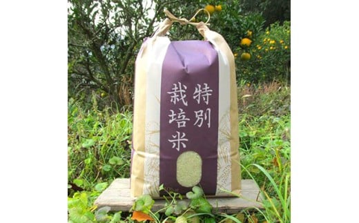 【有機JAS認証米】『タガメの里・自然米』2025年産 もち米「はりまもち」白米5kg | お米 おこめ 米 コメ こめ はりまもち 白米 有機JAS認証米 兵庫県 上郡町